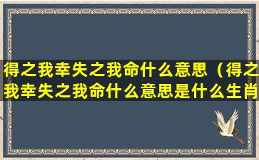 得之我幸失之我命什么意思（得之我幸失之我命什么意思是什么生肖）