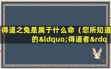 得道之兔是属于什么命（您所知道的“得道者”有哪些）