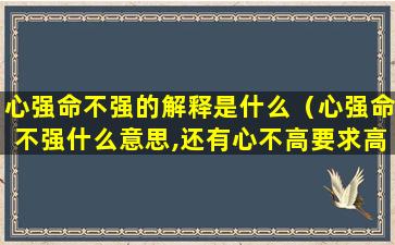 心强命不强的解释是什么（心强命不强什么意思,还有心不高要求高）