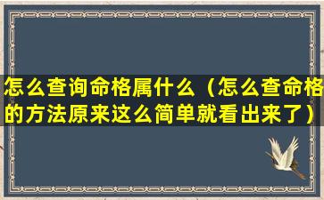 怎么查询命格属什么（怎么查命格的方法原来这么简单就看出来了）