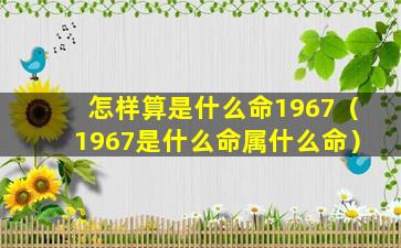 怎样算是什么命1967（1967是什么命属什么命）