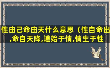 性由己命由天什么意思（性自命出,命自天降,道始于情,情生于性）