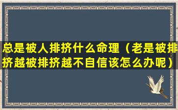 总是被人排挤什么命理（老是被排挤越被排挤越不自信该怎么办呢）