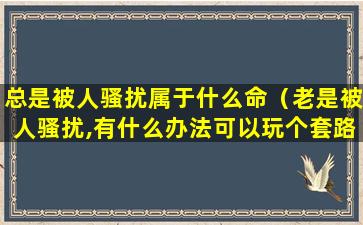 总是被人骚扰属于什么命（老是被人骚扰,有什么办法可以玩个套路让他坐牢）