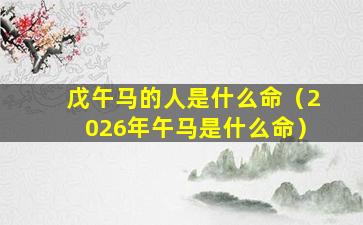 戊午马的人是什么命（2026年午马是什么命）