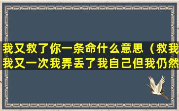 我又救了你一条命什么意思（救我我又一次我弄丢了我自己但我仍然记得你是什么歌）