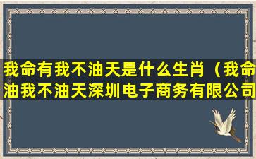 我命有我不油天是什么生肖（我命油我不油天深圳电子商务有限公司）