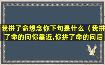 我拼了命想念你下句是什么（我拼了命的向你靠近,你拼了命的向后退缩,这就是距离）