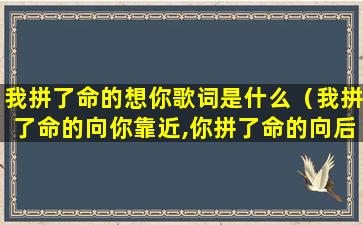 我拼了命的想你歌词是什么（我拼了命的向你靠近,你拼了命的向后退缩,这就是距离）