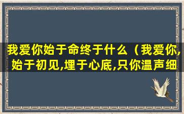 我爱你始于命终于什么（我爱你,始于初见,埋于心底,只你温声细语小说）