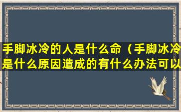 手脚冰冷的人是什么命（手脚冰冷是什么原因造成的有什么办法可以解决）