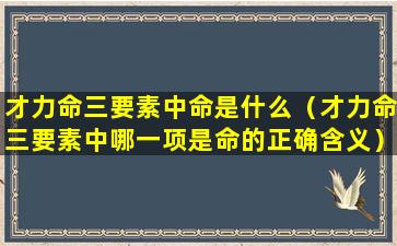 才力命三要素中命是什么（才力命三要素中哪一项是命的正确含义）