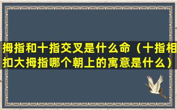 拇指和十指交叉是什么命（十指相扣大拇指哪个朝上的寓意是什么）