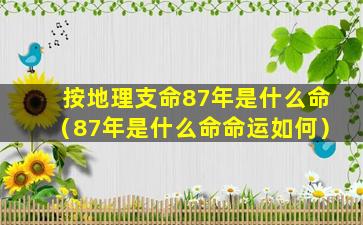 按地理支命87年是什么命（87年是什么命命运如何）