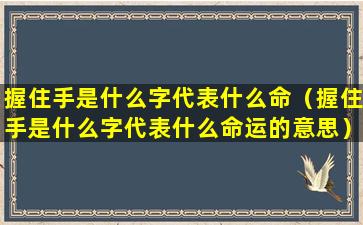 握住手是什么字代表什么命（握住手是什么字代表什么命运的意思）