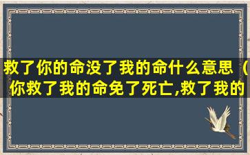 救了你的命没了我的命什么意思（你救了我的命免了死亡,救了我的眼免了流泪）