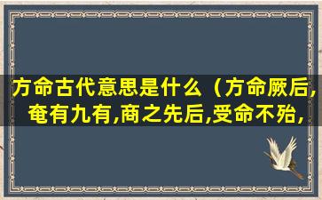 方命古代意思是什么（方命厥后,奄有九有,商之先后,受命不殆,在武丁孙子）