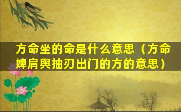 方命坐的命是什么意思（方命婢肩舆抽刃出门的方的意思）