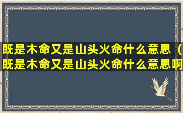 既是木命又是山头火命什么意思（既是木命又是山头火命什么意思啊）