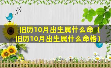 旧历10月出生属什么命（旧历10月出生属什么命格）