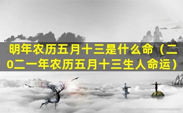 明年农历五月十三是什么命（二0二一年农历五月十三生人命运）