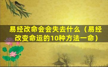 易经改命会会失去什么（易经改变命运的10种方法一命）