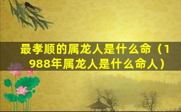 最孝顺的属龙人是什么命（1988年属龙人是什么命人）