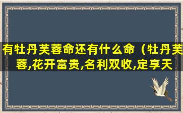 有牡丹芙蓉命还有什么命（牡丹芙蓉,花开富贵,名利双收,定享天赋）