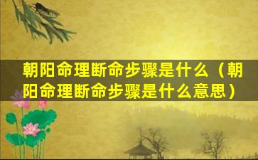 朝阳命理断命步骤是什么（朝阳命理断命步骤是什么意思）