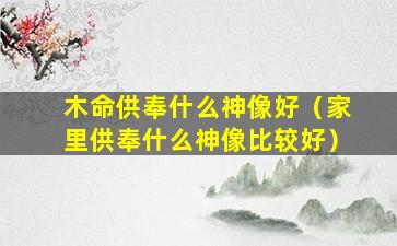 木命供奉什么神像好（家里供奉什么神像比较好）