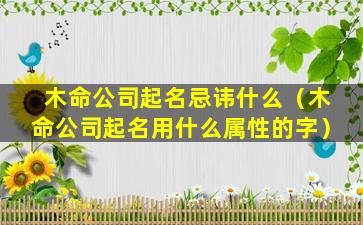 木命公司起名忌讳什么（木命公司起名用什么属性的字）