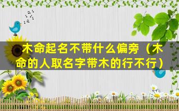 木命起名不带什么偏旁（木命的人取名字带木的行不行）