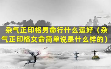 杂气正印格男命行什么运好（杂气正印格女命简单说是什么样的）