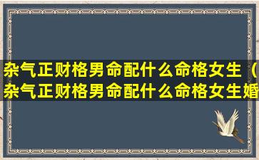 杂气正财格男命配什么命格女生（杂气正财格男命配什么命格女生婚姻好）