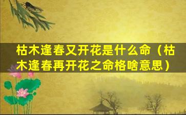 枯木逢春又开花是什么命（枯木逢春再开花之命格啥意思）