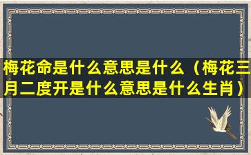 梅花命是什么意思是什么（梅花三月二度开是什么意思是什么生肖）