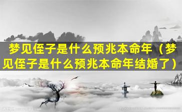 梦见侄子是什么预兆本命年（梦见侄子是什么预兆本命年结婚了）