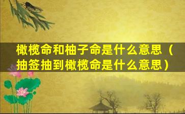 橄榄命和柚子命是什么意思（抽签抽到橄榄命是什么意思）