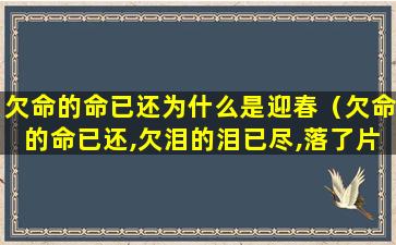 欠命的命已还为什么是迎春（欠命的命已还,欠泪的泪已尽,落了片白茫茫大地真干净）