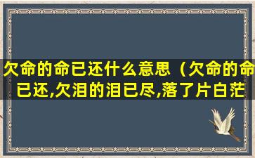 欠命的命已还什么意思（欠命的命已还,欠泪的泪已尽,落了片白茫茫大地真干净）