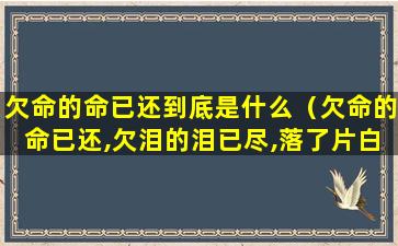 欠命的命已还到底是什么（欠命的命已还,欠泪的泪已尽,落了片白茫茫大地真干净）