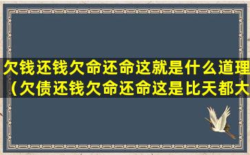 欠钱还钱欠命还命这就是什么道理（欠债还钱欠命还命这是比天都大的道理）