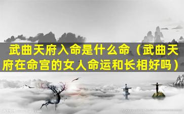 武曲天府入命是什么命（武曲天府在命宫的女人命运和长相好吗）