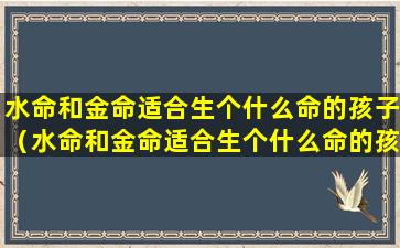 水命和金命适合生个什么命的孩子（水命和金命适合生个什么命的孩子好）