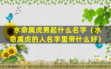 水命属虎男起什么名字（水命属虎的人名字里带什么好）