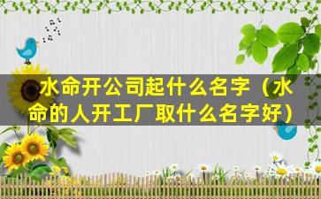 水命开公司起什么名字（水命的人开工厂取什么名字好）