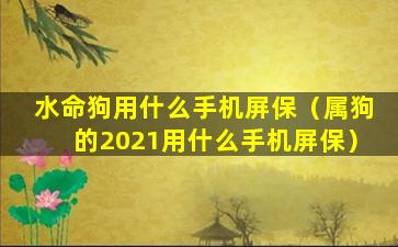 水命狗用什么手机屏保（属狗的2021用什么手机屏保）