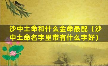 沙中土命和什么金命最配（沙中土命名字里带有什么字好）