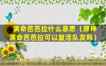 满命芭芭拉什么意思（原神满命芭芭拉可以复活队友吗）