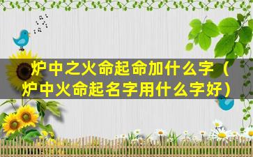 炉中之火命起命加什么字（炉中火命起名字用什么字好）